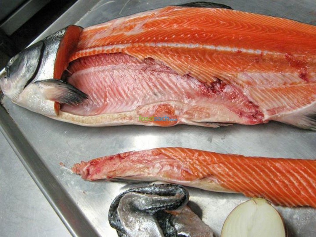 Cá hồi tươi Nauy nguyên con - Foodsach.com