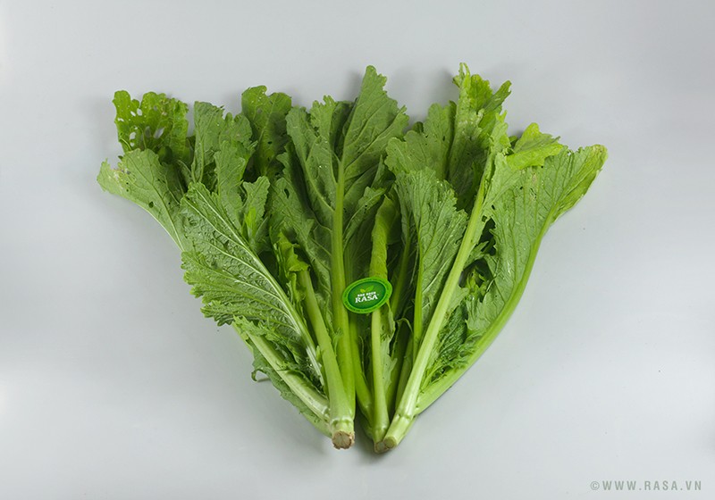 Cải Mèo - Foodsach.com